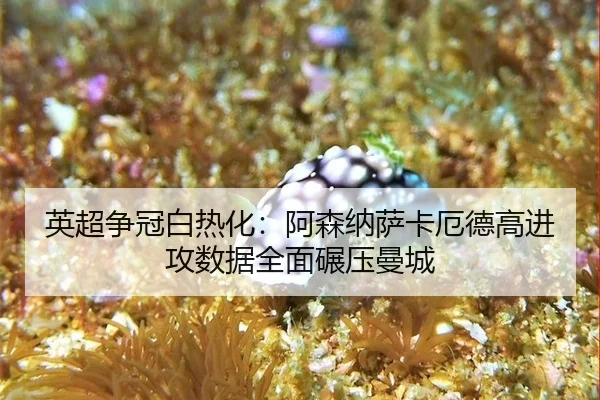 英超争冠白热化：阿森纳萨卡厄德高进攻数据全面碾压曼城