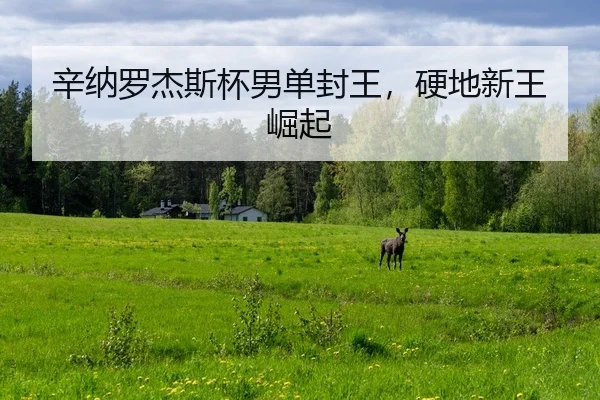 xin-na-luo-jie-si-bei-nan-dan-feng-wang-ying-di-xin-wang-jue-qi-2-383.jpg
