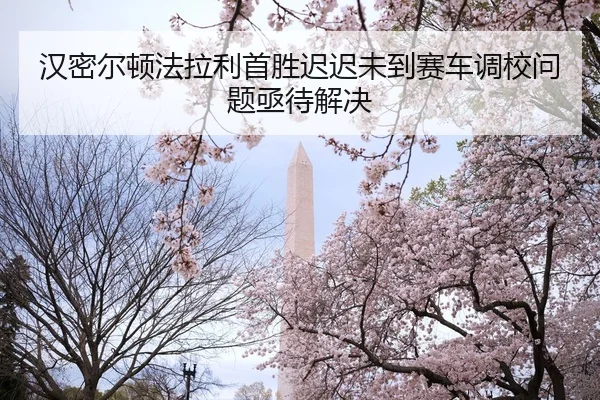 han-mi-er-dun-fa-la-li-shou-sheng-chi-chi-wei-dao-sai-che-diao-xiao-wen-ti-ji-dai-jie-jue-2-157.jpg