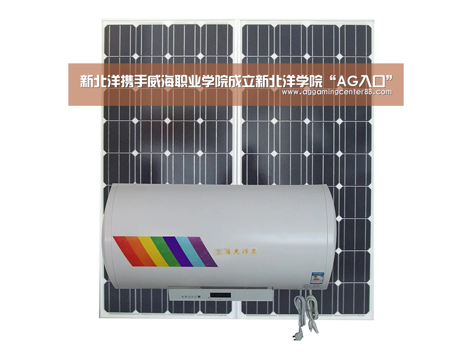 新北洋携手威海职业学院成立新北洋学院“AG入口”
