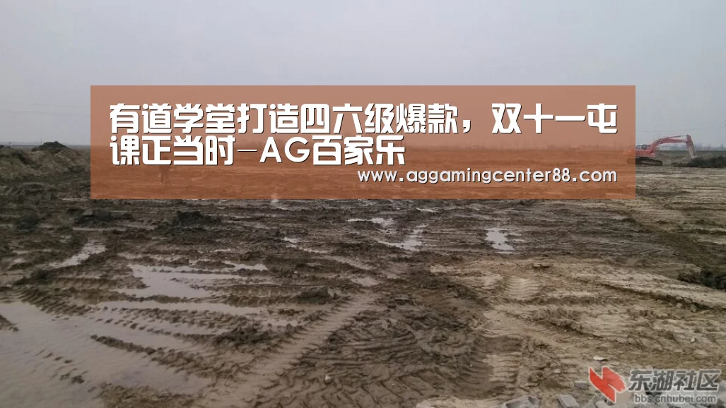 AG百家乐