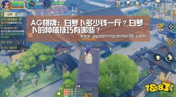 AG百家乐