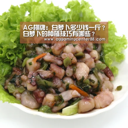 AG百家乐