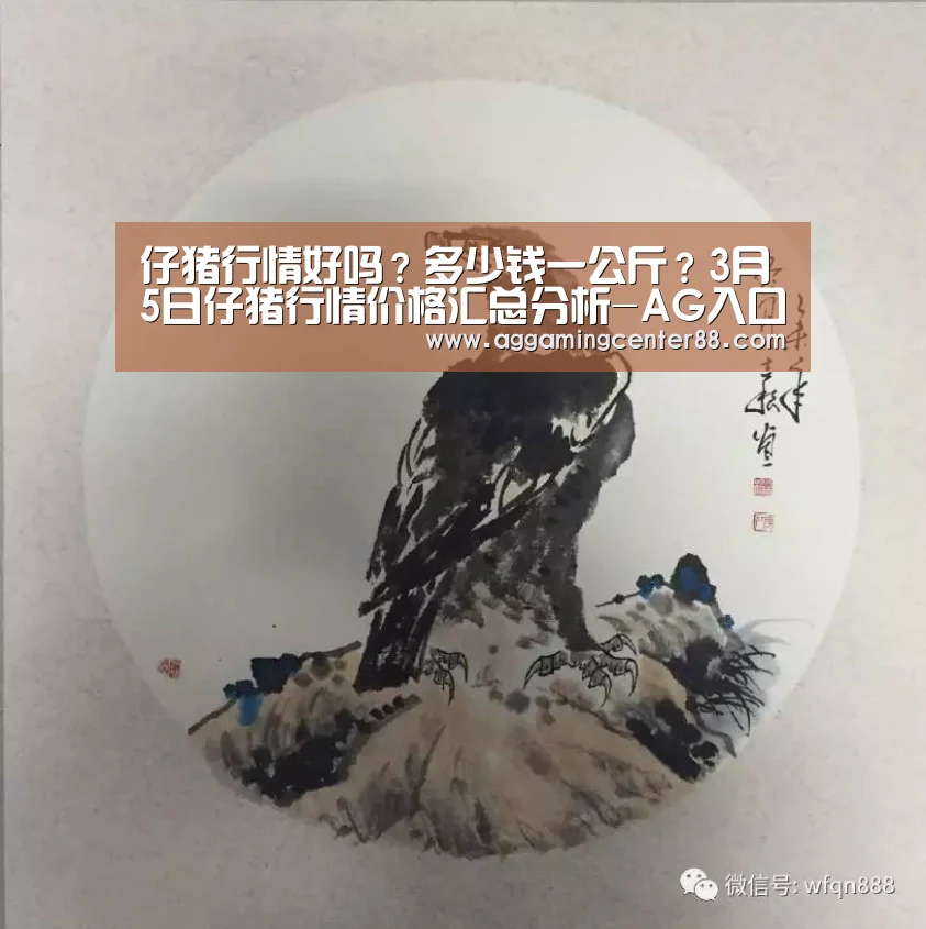 AG棋牌
