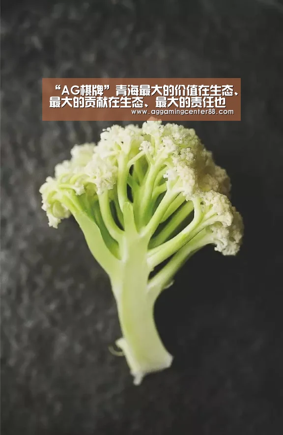 AG篮球