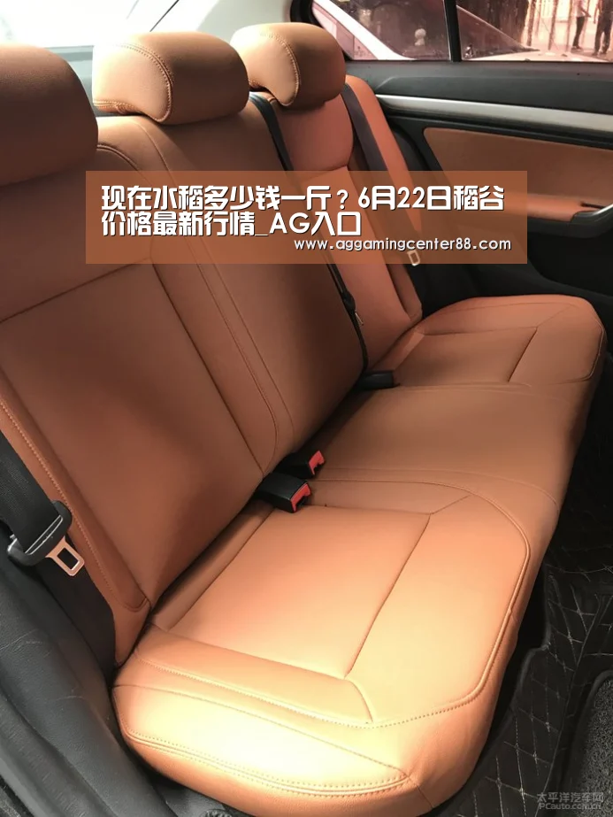 现在水稻多少钱一斤？6月22日稻谷价格最新行情_AG入口