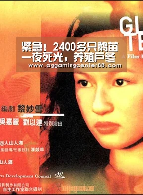 紧急！2400多只鹅苗一夜死光，养殖户冬季设备取暖需谨慎_AG篮球