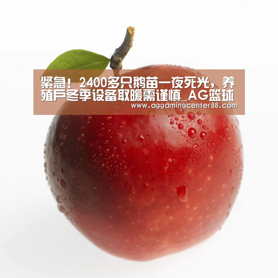 AG入口