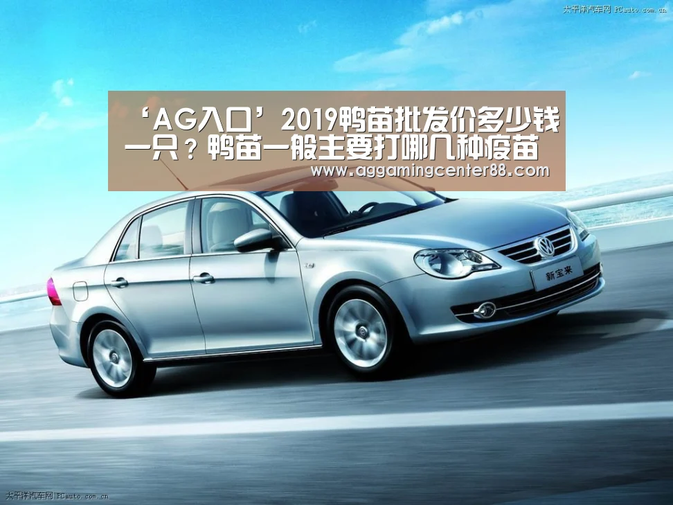 AG百家乐