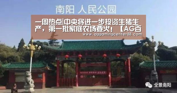 AG篮球